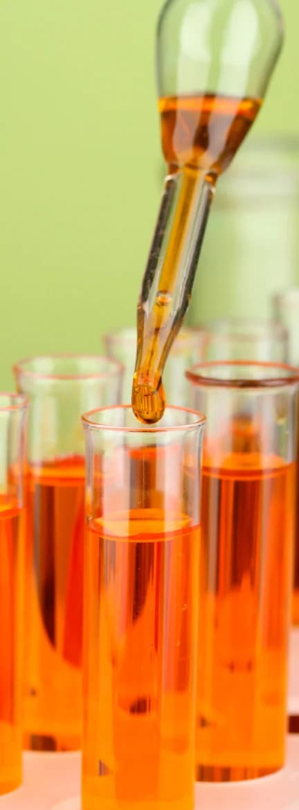 Clinical Chemistry