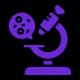 Microscopy Study